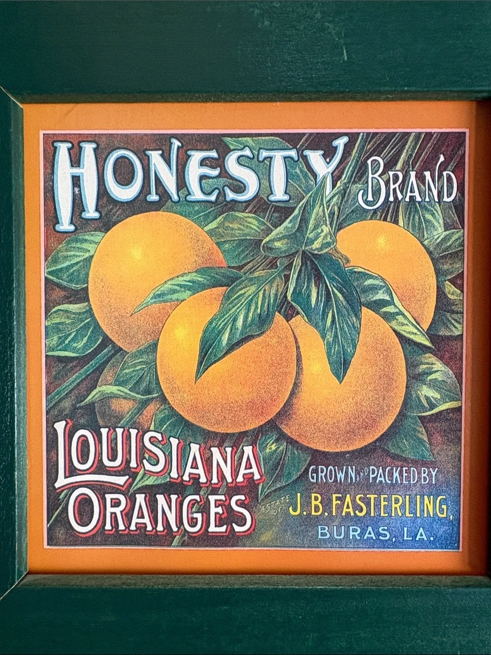 Louisiana Oranges Framed Wall Art